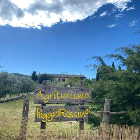 Agribike Agriturismo Poggio Rossino ガヴォッラーノ エクステリア 写真