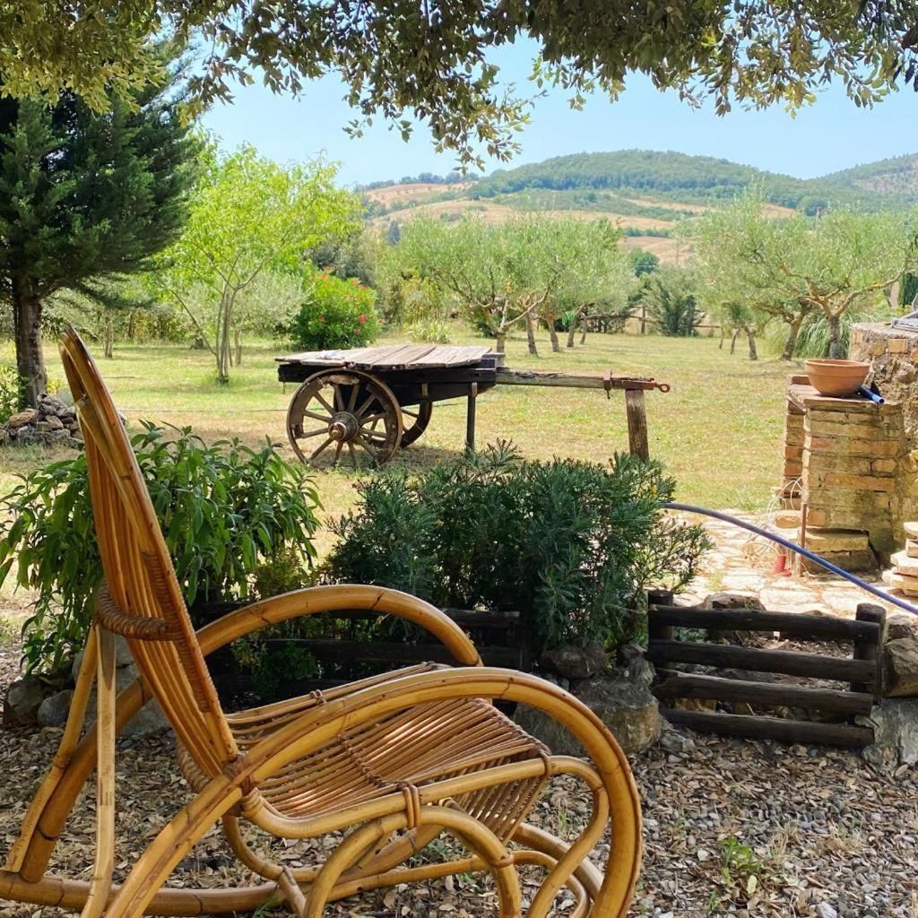 Agribike Agriturismo Poggio Rossino ガヴォッラーノ エクステリア 写真