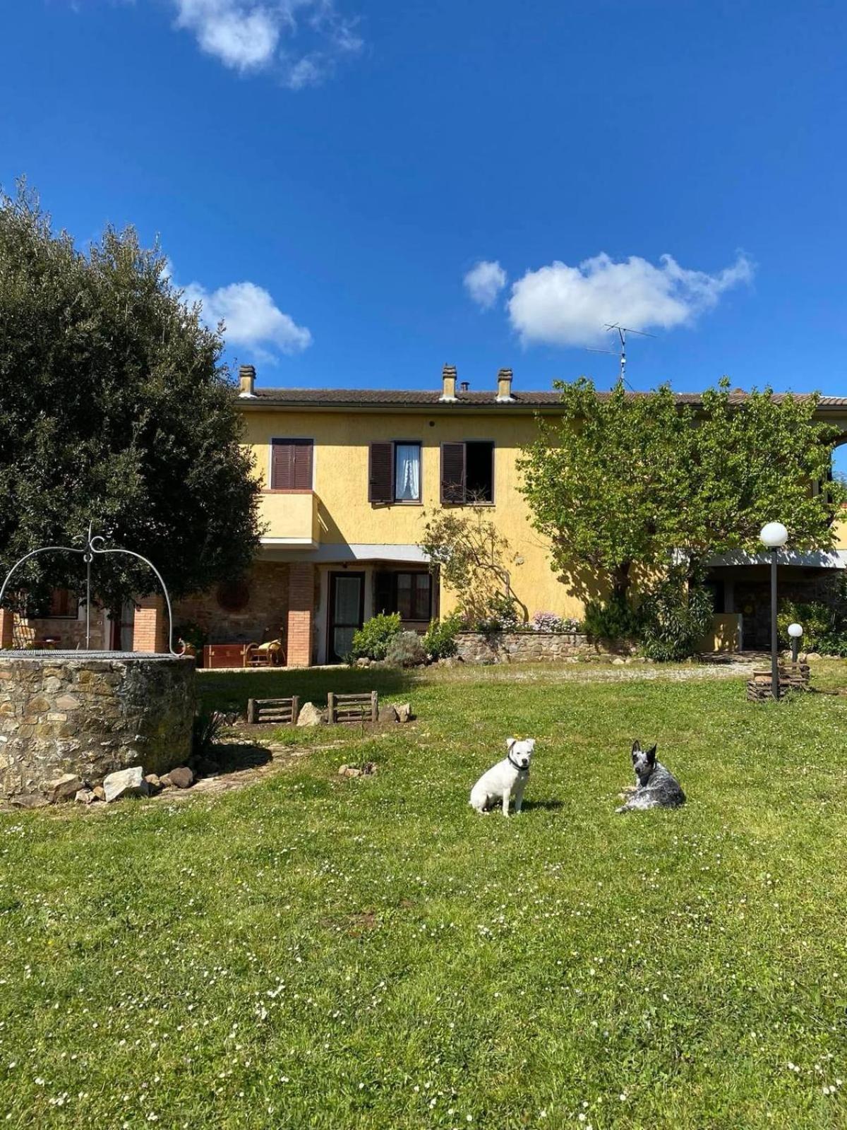 Agribike Agriturismo Poggio Rossino ガヴォッラーノ エクステリア 写真